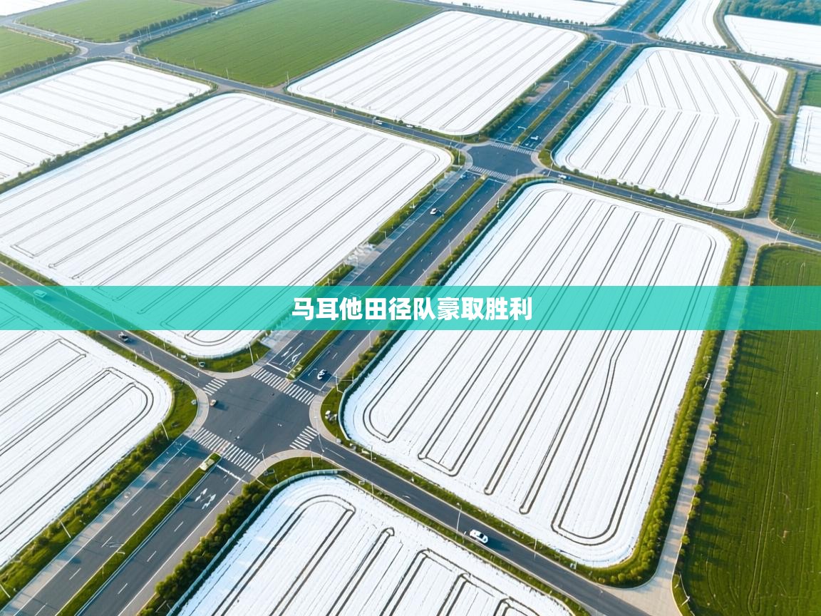 开云体育修改登录密码-马耳他田径队豪取胜利  第1张