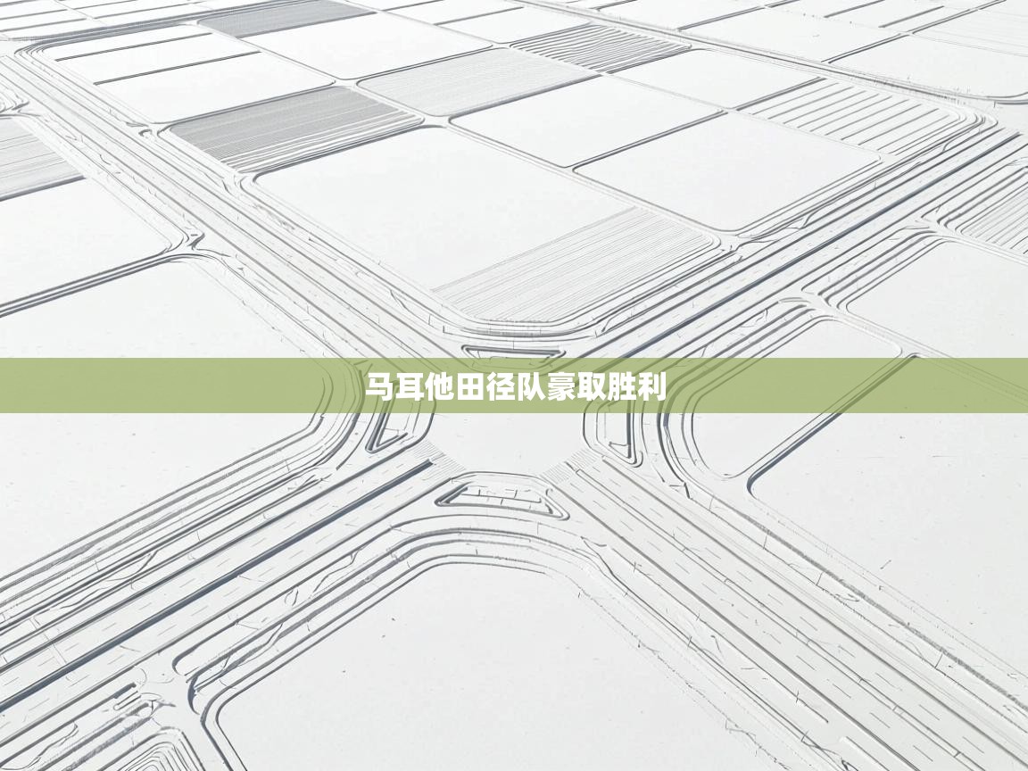 开云体育修改登录密码-马耳他田径队豪取胜利  第2张