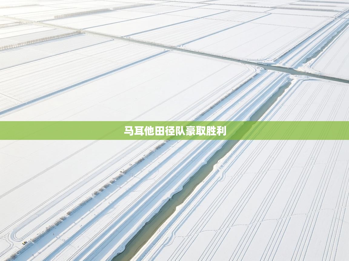 开云体育修改登录密码-马耳他田径队豪取胜利  第3张